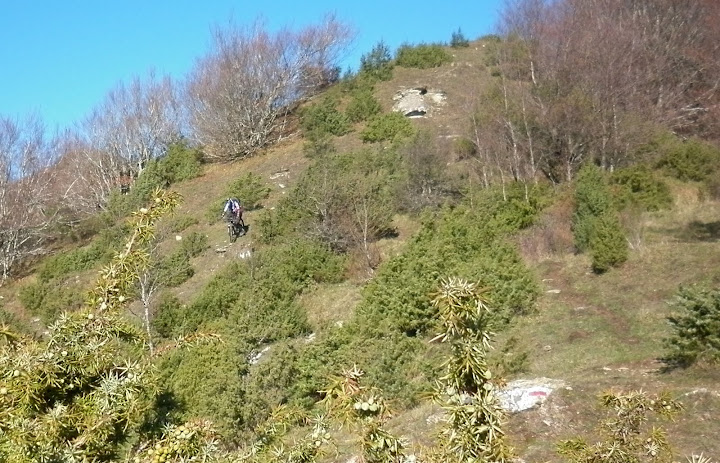 P1000445.JPG