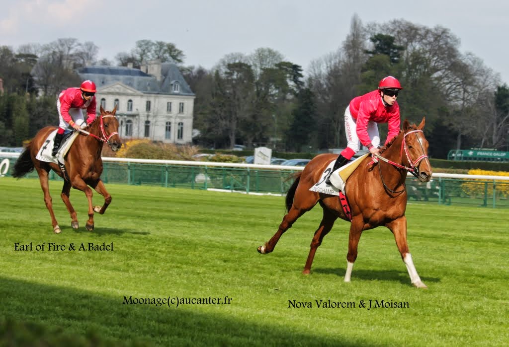 Photos Longchamp 6-04-2015  - Page 2 IMG_8086