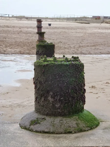 Boy Grift Main Drain outlet north of Huttoft Bank Nature Reserve