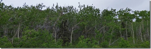 Klondike Highway, Yukon