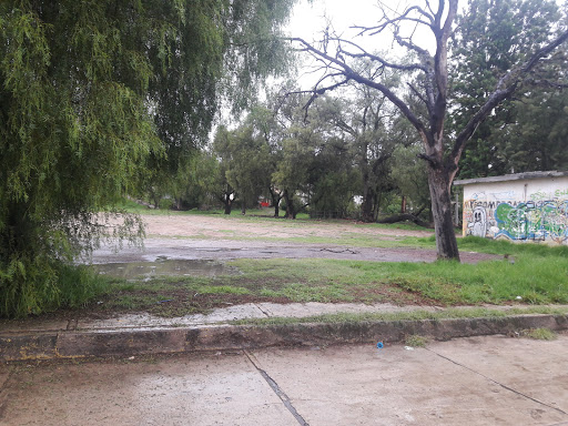 Futbol 7 Canchas Premier, De Las Manzanas 10, San Francisco Tepojaco, 54745 Cuautitlán Izcalli, Méx., México, Cancha de fútbol sala | EDOMEX