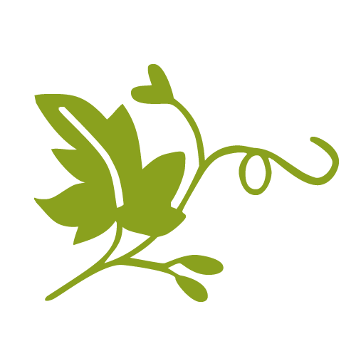 The Ivy Day Spa logo