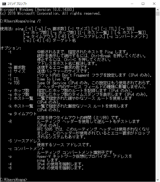 pingのオプション