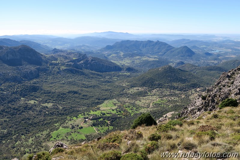 Cresteria de la Sierra del Pinar