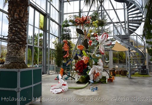 Glória Ishizaka - Hortus Botanicus Leiden - 5