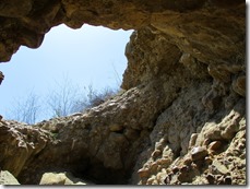 IMG_1916 IMG_1916