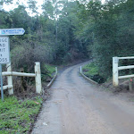 Following the Ourimbah creek road (58211)