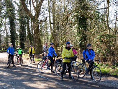 group in dappled shade