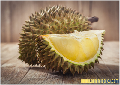 Manfaat Buah Durian Untuk Kecantikan Idaman Kaum Hawa