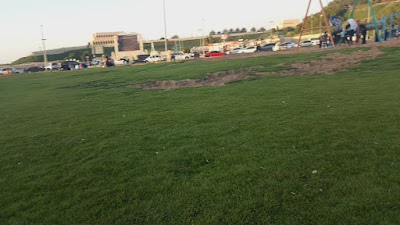 Photos of مطعم بشارة Bishara Restaurant