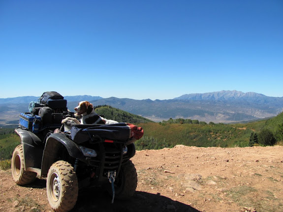 Jones Ridge near Brown's Peak. Brown's Peak is visible just behind Torrey's head, and Mt. Nebo is the large mountain on the right in the background.