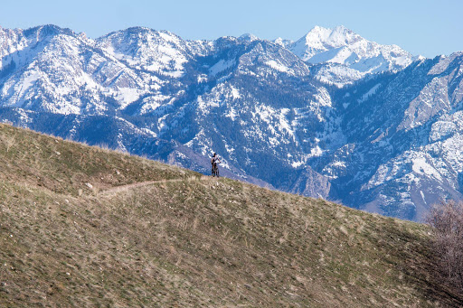 Каньон спорт