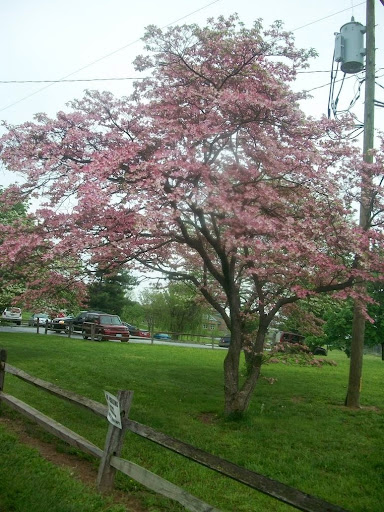 Park «Jim Barnett Park», reviews and photos, 1001 E Cork St, Winchester, VA 22601, USA