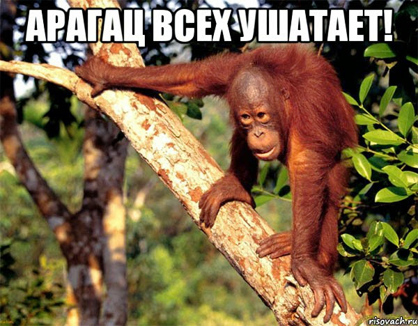 https://lh3.googleusercontent.com/-8i8fPfoo-xU/UbtGkZhiXWI/AAAAAAAAXX4/othT0XNypGI/s600/4.jpeg