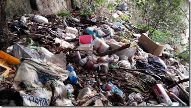 Discarica nei giardinetti della principessa Iolanda Discarica nei giardinetti della principessa Iolanda