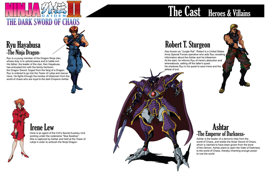 파일:external/img12.deviantart.net/ninja_gaiden_ii_book__cast_by_hellstinger64.jpg