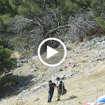 PA260369.MOV