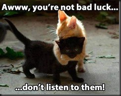 black_cat_amugged by kitten cuteness!