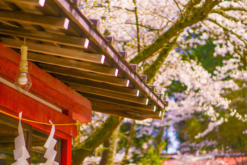 Fuji Omuro Sengen Shrine 12