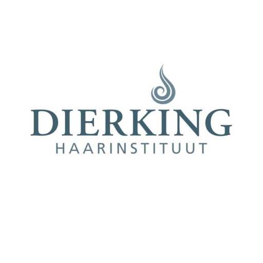 Dierking Haarinstituut logo