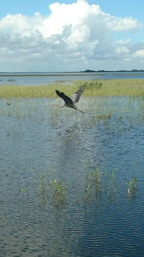 Recreation «Kissimmee Swamp Tours», reviews and photos, 4500 Joe Overstreet Rd, Kenansville, FL 34739, USA