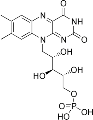 %252522300px-Flavin_mononucleotide.png%252522.png#s-300,384