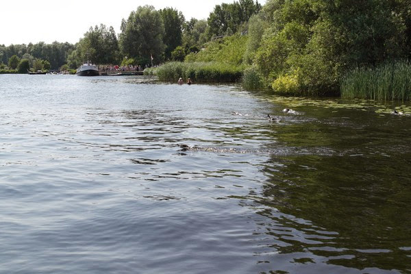  Neeijwe  Meer: Il mare nella terraferma 