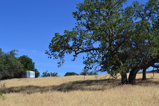 water tank and other structures at an invisible junction