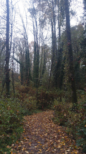 Glenbrook Ravine Park