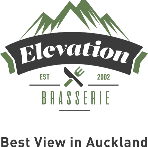 Elevation logo