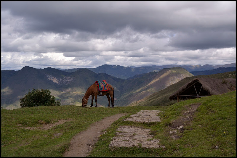 CHACHAPOYAS, KUELAP. - MÁGICO Y ENIGMÁTICO PERÚ/2016. (20)