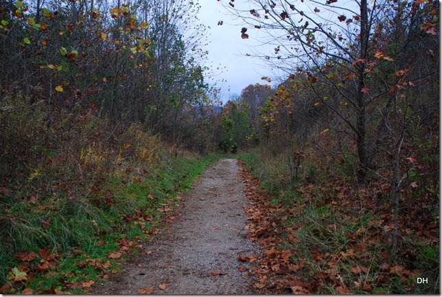 10-31-15 Cumberland Gap Saddle Hike (39)