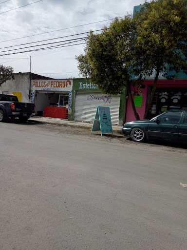 Sitio De Taxis ( La Virgen), Revolución, San Pedro Totoltepec, 50200 San Pedro Totoltepec, Méx., México, Taxis | EDOMEX