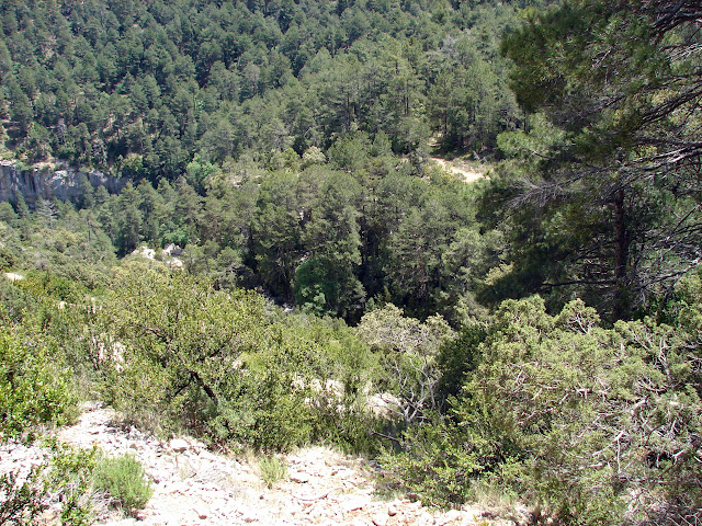 Senderismo - Argaret - Coscollosa - Gubies Capatx - Pas de Romeret - Parrisal