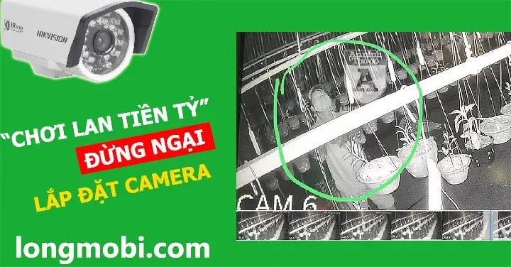 lap dat camera giam sat vuon lan lap dat camera giam sat vuon lan