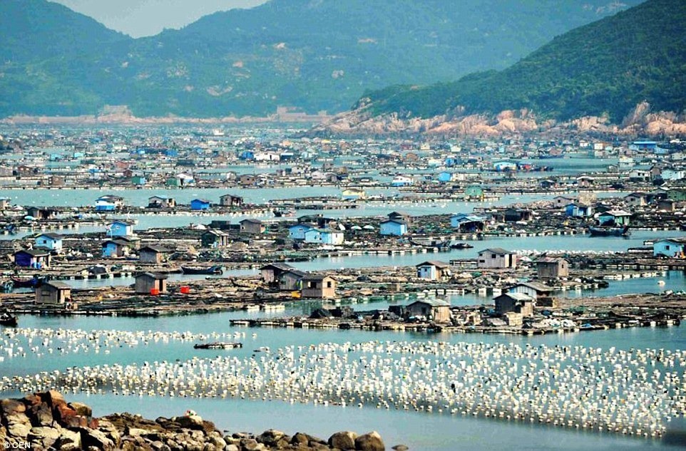 aquaculture-farm-china-10