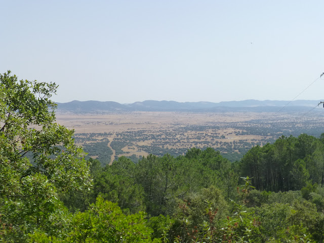 Valle de Alcudia