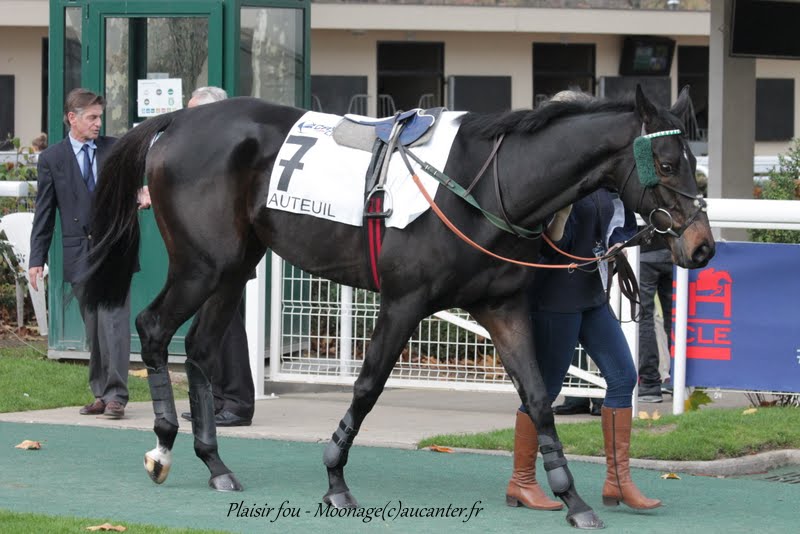 Photos Auteuil 7-11-2015 (48h de l'obstacle) IMG_6379