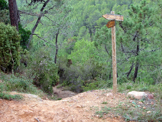 Senderismo - Agujas de Santa Agueda - Font de Roc