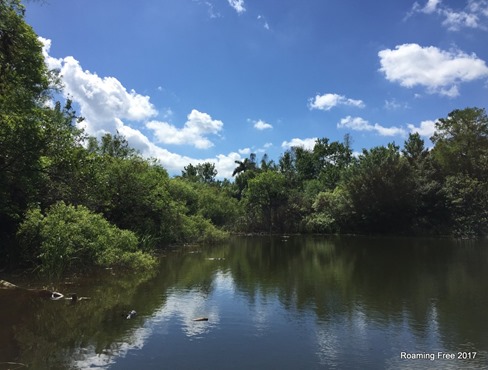 Gator Pond