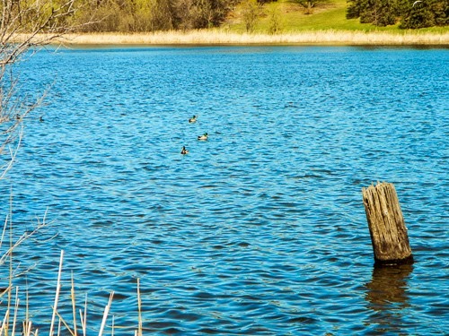 Motorcycling Lakes