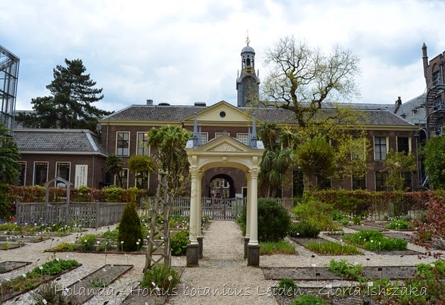 Glória Ishizaka - Hortus Botanicus Leiden - 86