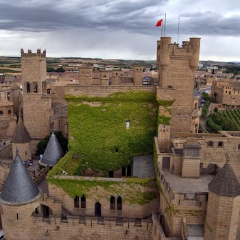 OLITE 15-08-2012 14-01-12.NEF.jpg