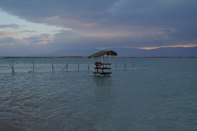 Photos of Мертвое море