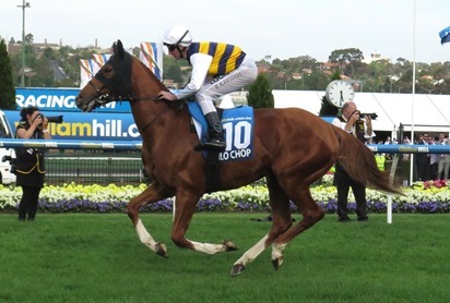 cox plate_gailo chop 1