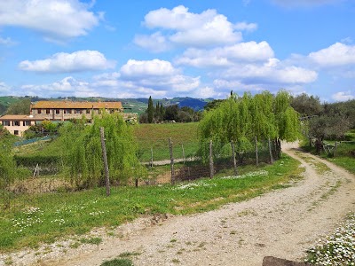 Photos of Berignone Nature Reserve