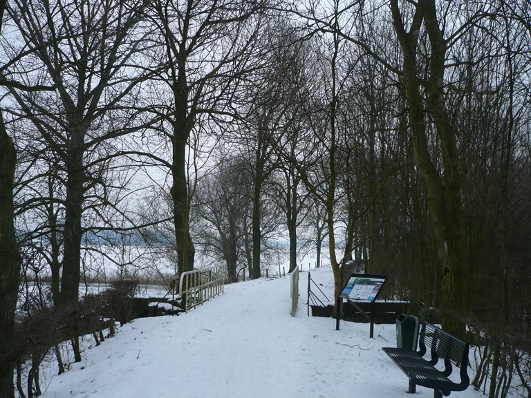 De  Bossche 100; NL; 100/110km, 110 pl. ; 24-25 janvier 2014 P1590507