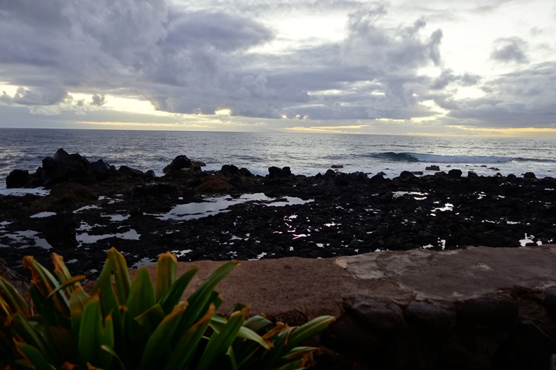 3 días en La Gomera (Canarias).  Una isla para enmarcar.  2ª parte. - De viaje por España (30)