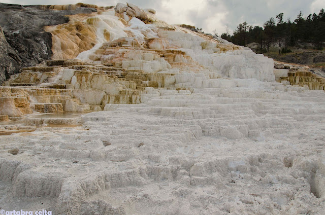 ZONA GEOTERMAL DE YELLOWSTONE N.P. (WYOMING, USA), Naturaleza-USA (26)