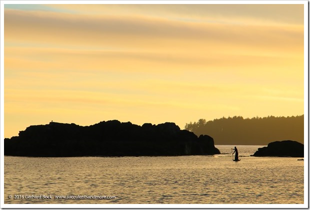 160902_Tofino_MacKenzieBeach_0028